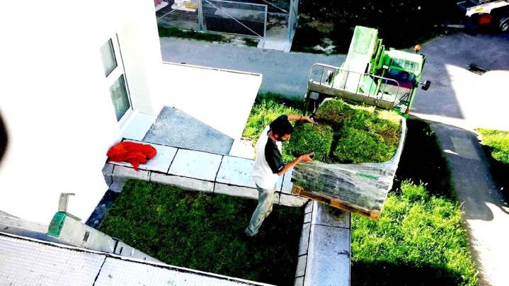 Travaux d'élagage Paris