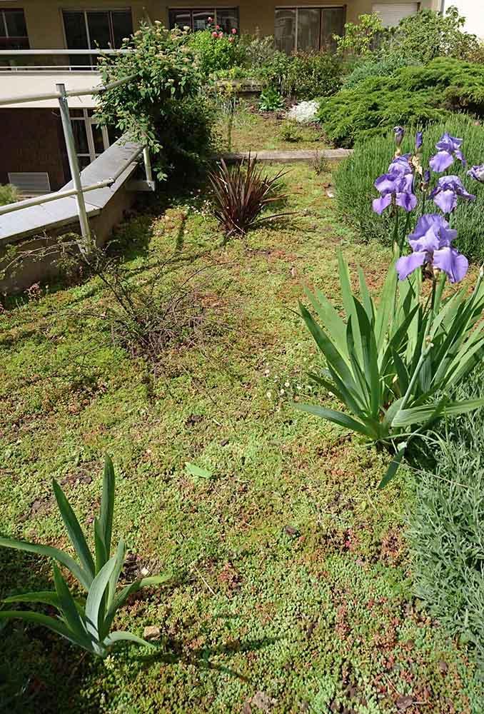 Réalisation de toitures et murs végétalisés Paris