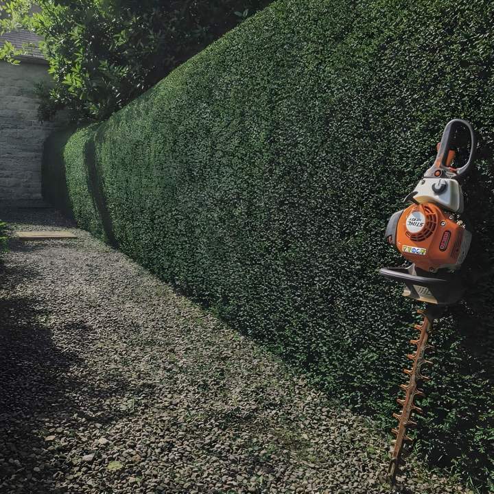 Entretenir les espaces verts Paris 