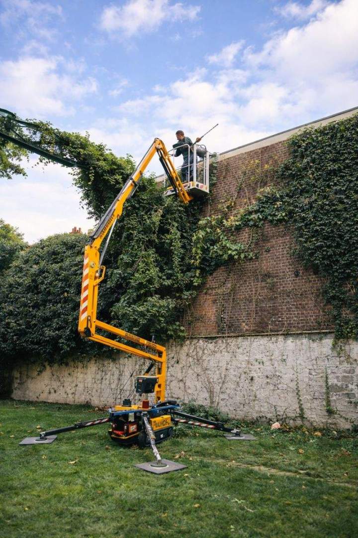 Travaux d'élagage Paris