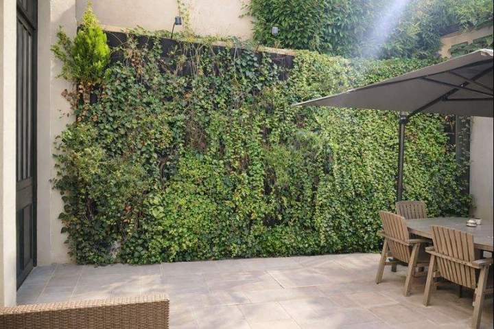 Entretien espaces verts Paris