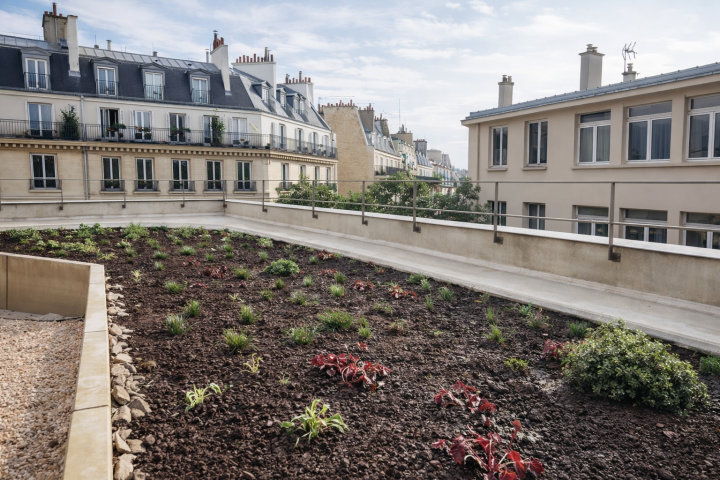 Toitures et murs végétalisés Paris