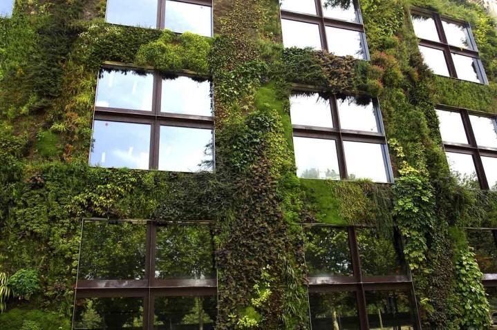 Toitures et murs végétalisés Paris