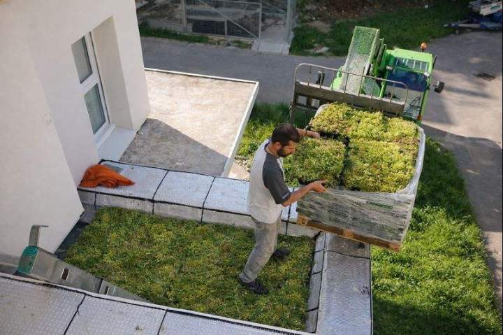 photo Image 22 janv. 2026, 16 33 50